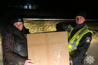 Врятована зайчиха 