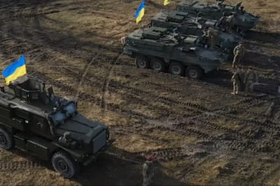 Stryker і Cougar