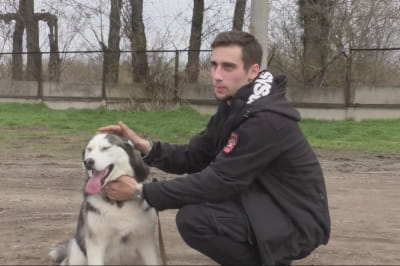 Тварини у притулку