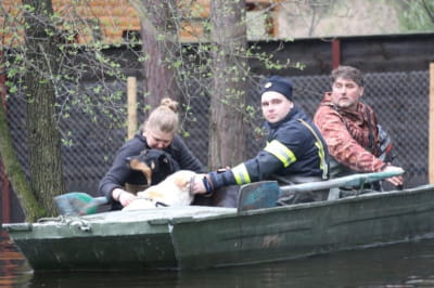 Последствия непогоды