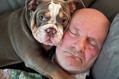 История Дэвида Линдсея