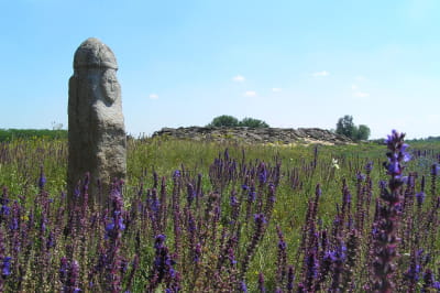 Кам'яна могила (Запорізька область)