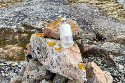 История бутылки с посланием