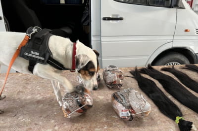 Контрабанда