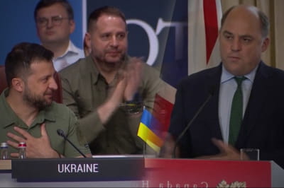 Воллес та Зеленський