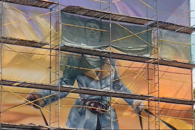 У Києві створюють мурал зоозахисниці з Ірпеня