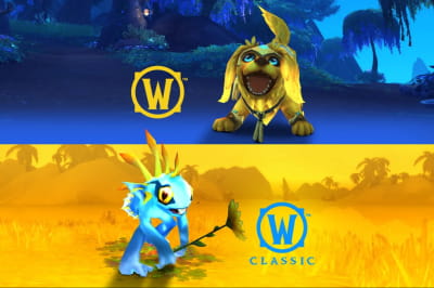 Pet Pack for Ukraine 