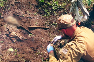 Невигадані історії