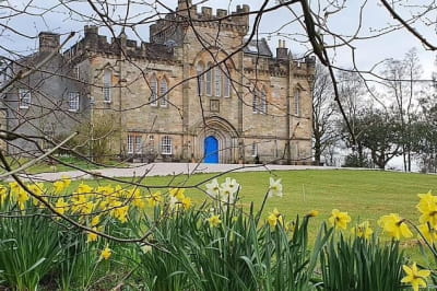 История картины