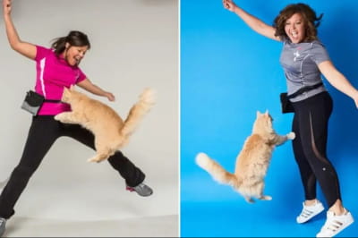 Кішка та його господарка