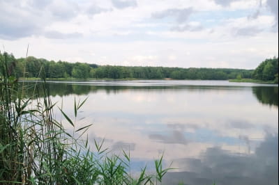озеро Ведро в Киевской области