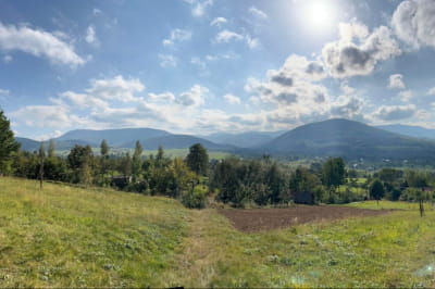 Поиск самолета