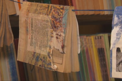 Врятовані книги