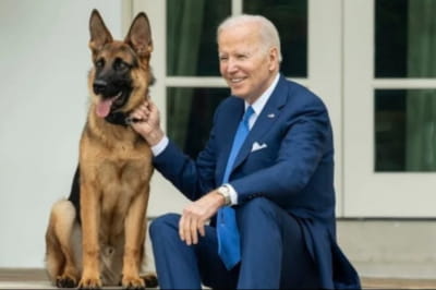 Джо Байден з собакою
