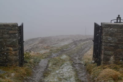 Фото, зроблене на горі