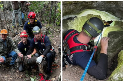 Порятунок собаки