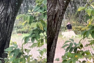 Експеримент з картонними моделями