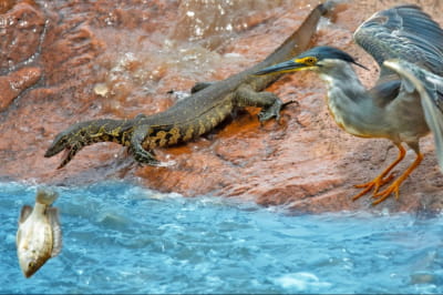 Фото из нацпарка