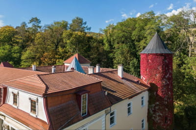 замок Моцарта в Австрии