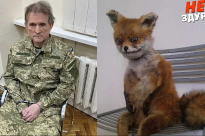 Не здуріти