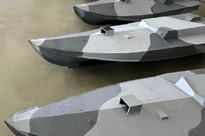 Sea baby, український безпілотник