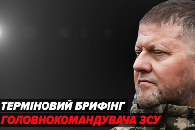 Залужний