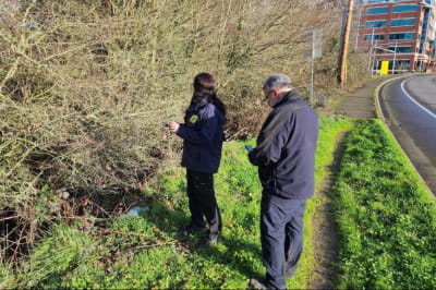 История об iPhone