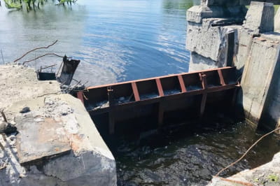 Козаровицька дамба