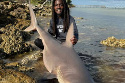 Риболов і акула 