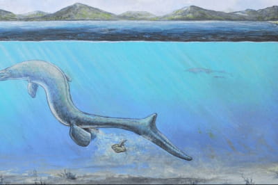 Яйце в Антарктиді 