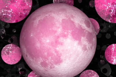 Розовое полнолуние