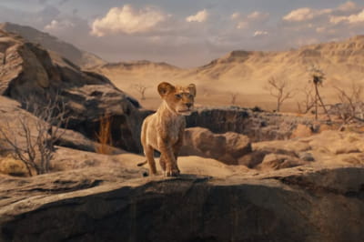 Муфаса: Король Лев (Mufasa: The Lion King)