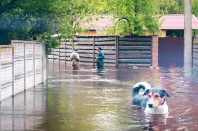 На Черкащині знову водопілля