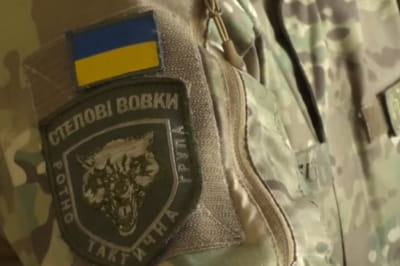 "Степові вовки"