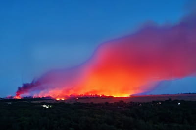 "Бавовна" у Луганську