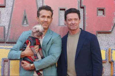 Собака на червоній доріжці