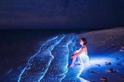 Ваадху, Мальдіви