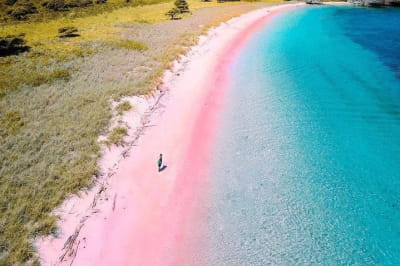 Pink Beach, Komodo Island, Indonesia