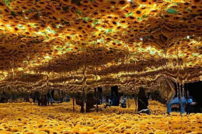 Van Gogh Museum, Netherlands