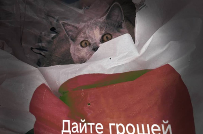 Луна желает хороших выходных и напоминает о сборе