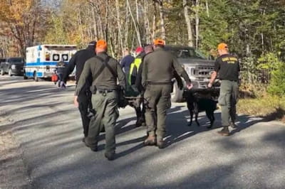 Історія про собаку та її господарів