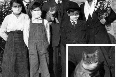 Испанка, 1918 г. Семейный портрет. Даже кот...