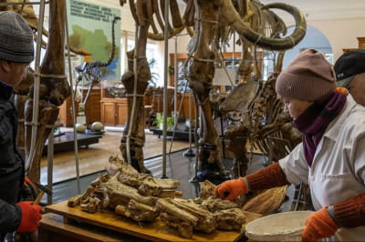 Наслідки обстрілу