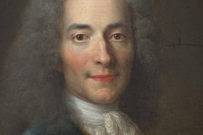 Портрет Вольтера