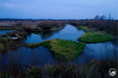 Фото природы