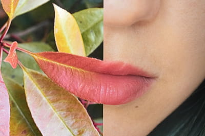 Природа и человек