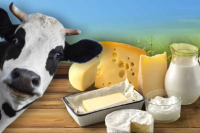 молочна продукція