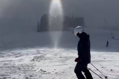 Скриншот из TikTok