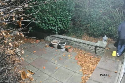 Пастка "Сам удома"