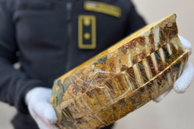 Посылка с зубами мамонта 